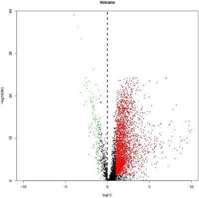 Development and Validation of an Immune-Related lncRNA Signature for Predicting the Prognosis of Hepatocellular Carcinoma